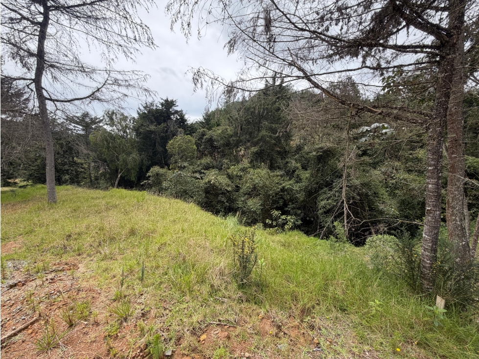 HERMOSO LOTE EN EL RETIRO - VÍA DON DIEGO / LA CEJA — foto 4