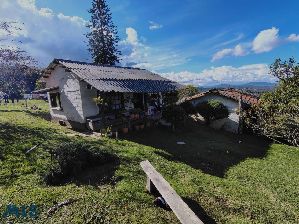 Santa Elena: paraíso natural casa con muy buena luz natural — foto 3