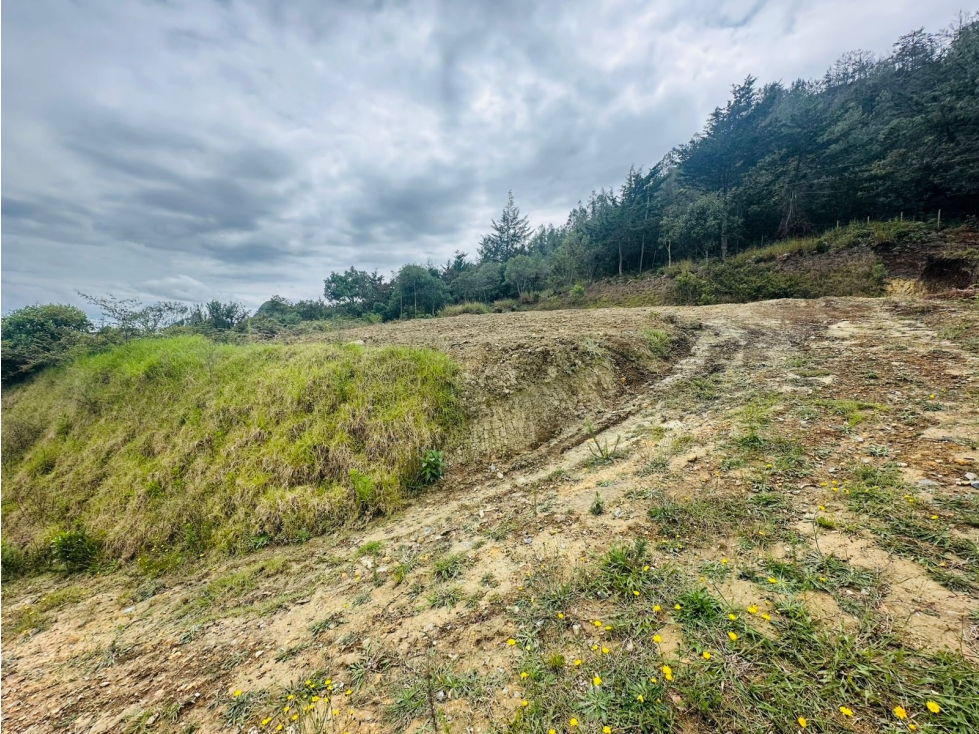 VENDO HERMOSO LOTE EN EL RETIRO - VÍA DON DIEGO / LA CEJA — foto 6