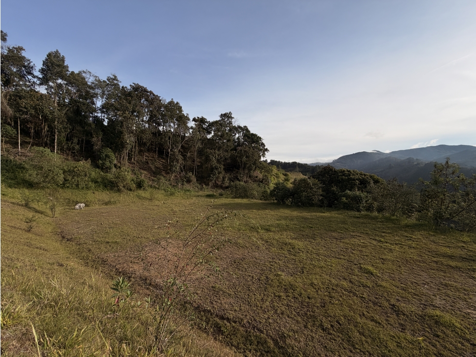 Lote en venta, V. Pantanillo, El Retiro — foto 6
