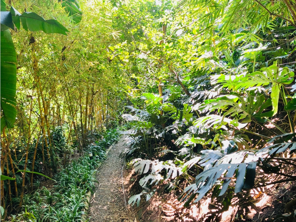 Hotel boutique exclusivo en Provenza: naturaleza y diseño — foto 6