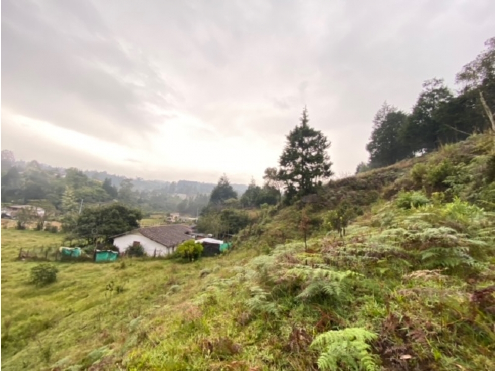 Lote Residencial en Venta, Autopista (Guarne), Oriente Antioqueño — foto 3