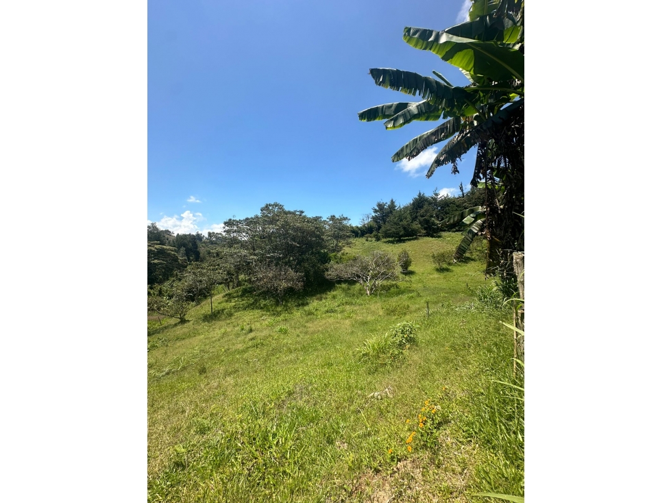 Casa Lote, en venta, sector Rionegro — foto 6