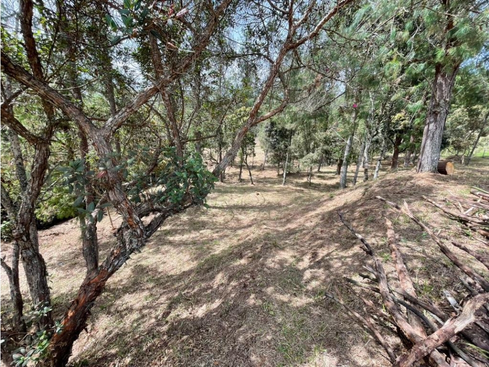 Hermoso lote con topografía muy aprovechable, Piedras blancas, Guarne. — foto 3