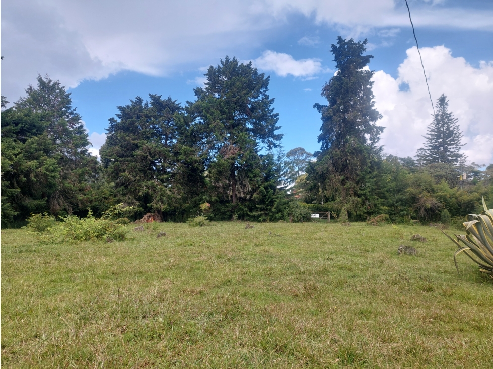 Lote Independiente para la venta, LLanogrande V Caceceras — foto 5