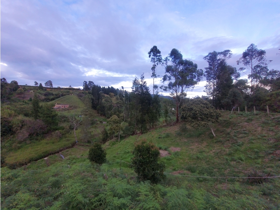 Lote en venta, V. Hojas Anchas, Guarne — foto 4