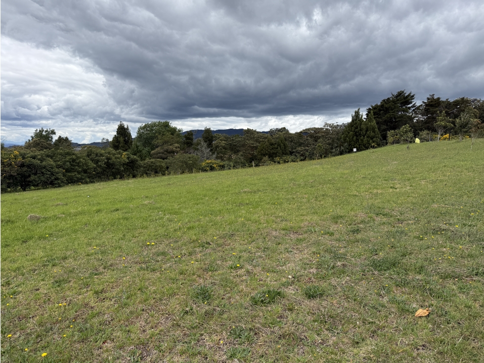 Exclusivo lote en parcelación en Alto de las Palmas — foto 3