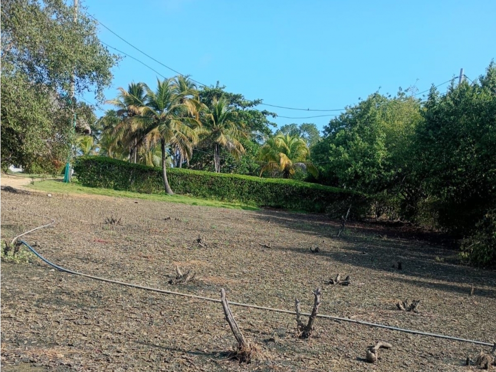 Lote en venta, Moñitos, Córdoba - 2