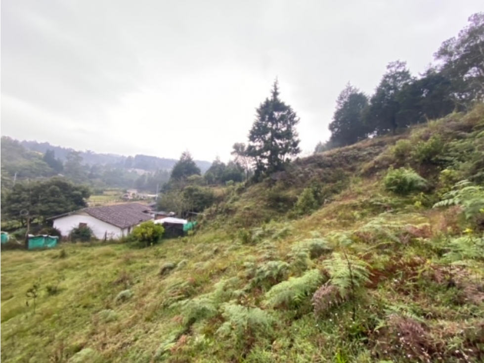 Lote Residencial en Venta, Autopista (Guarne), Oriente Antioqueño — foto 4