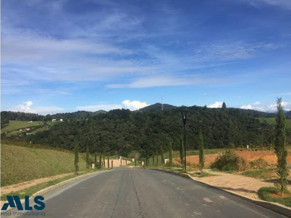 Lote en el Alto de Palmas, precio de oportunidad — foto 4