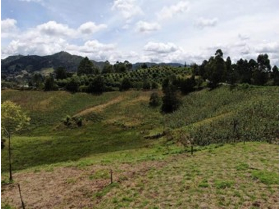Lote para parcelar en San Vicente Ferrer, Oriente Antioqueño — foto 4