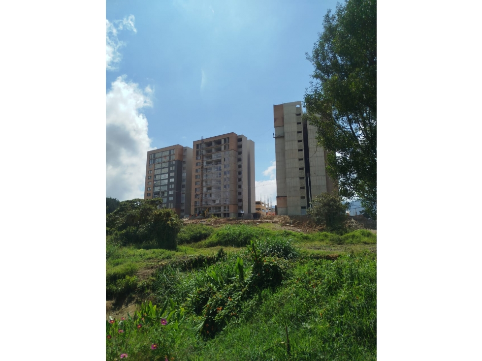BOSQUE , El Carmen , Urbano — foto 5