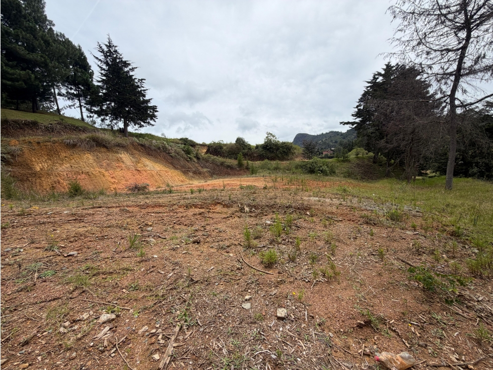HERMOSO LOTE EN EL RETIRO - VÍA DON DIEGO / LA CEJA — foto 6