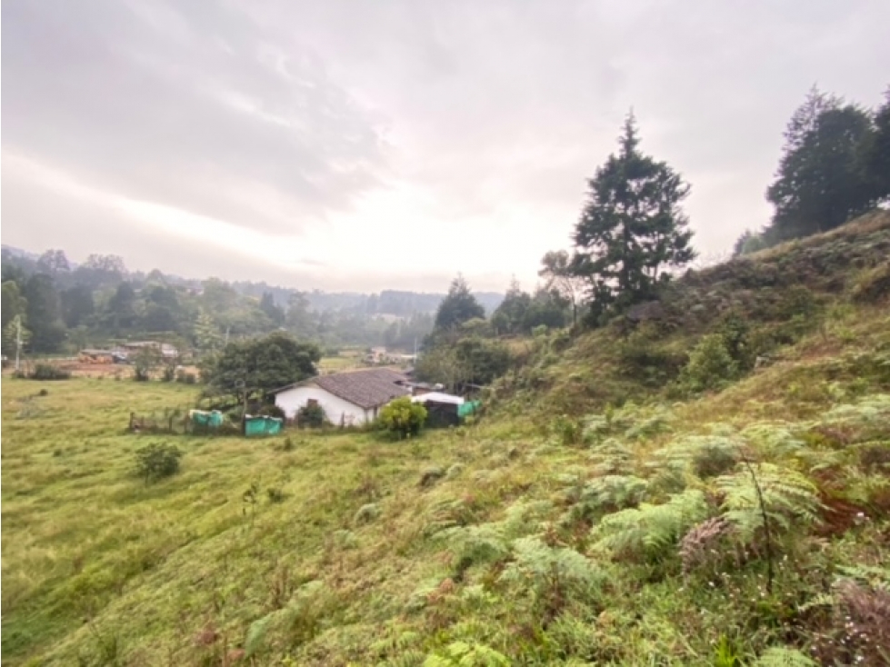 Lote Residencial en Venta, Autopista (Guarne), Oriente Antioqueño — foto 5