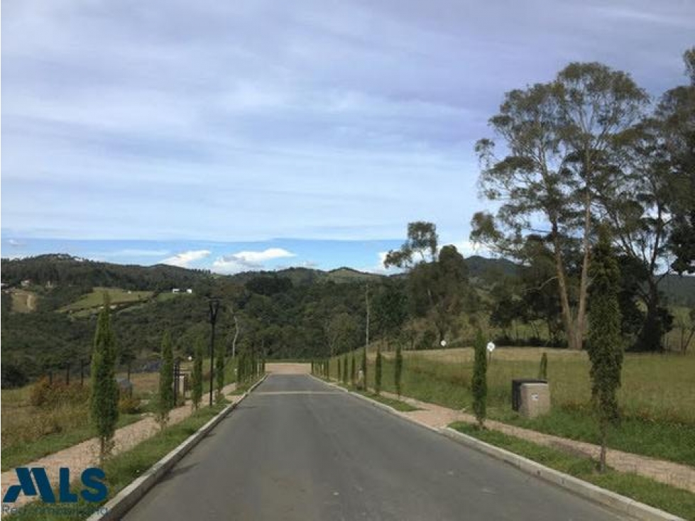 Lote en el Alto de Palmas, precio de oportunidad — foto 5