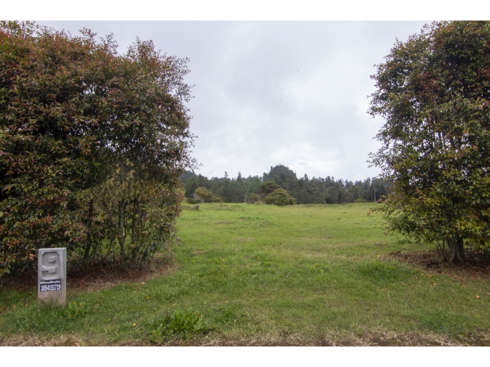 Lote en venta en sector de Alto de las Palmas - Envigado — foto 4