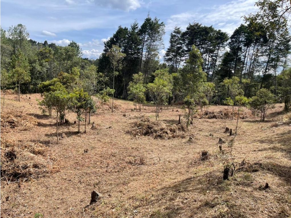 Hermoso lote con topografía muy aprovechable, Piedras blancas, Guarne. — foto 5