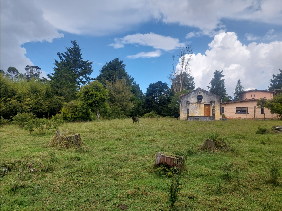 Lote Independiente para la venta, LLanogrande V Caceceras — foto 6