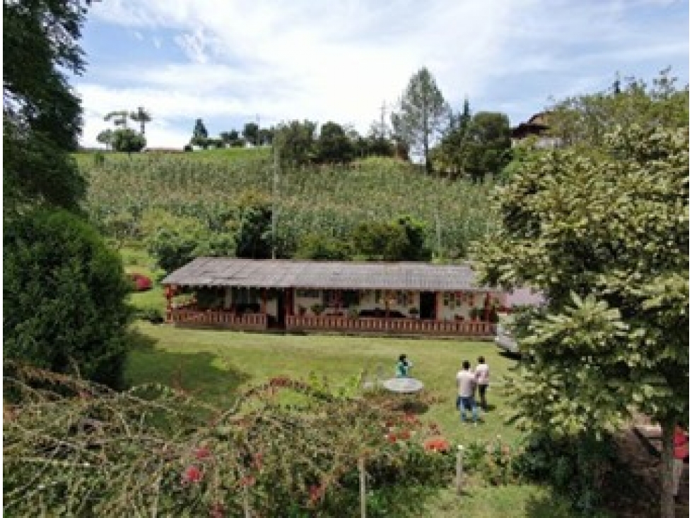 Lote para parcelar en San Vicente Ferrer, Oriente Antioqueño — foto 5