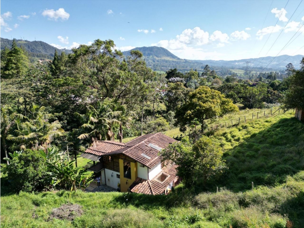 VENDO HERMOSA FINCA LA CEJA - Corredor San Antonio - La Ceja — foto 2