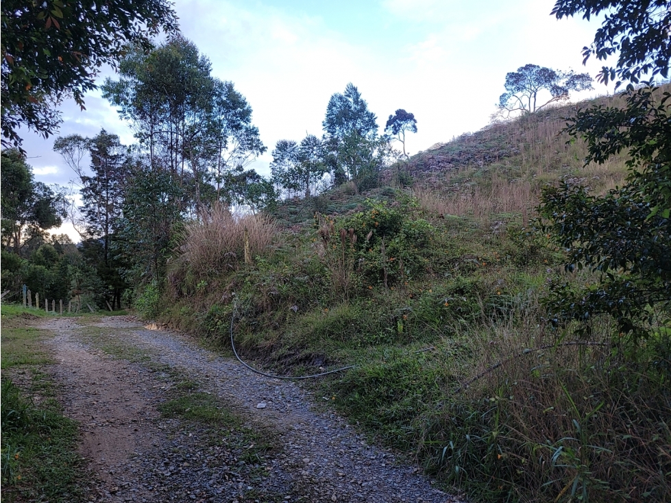 Lote en venta, V. Hojas Anchas, Guarne — foto 6