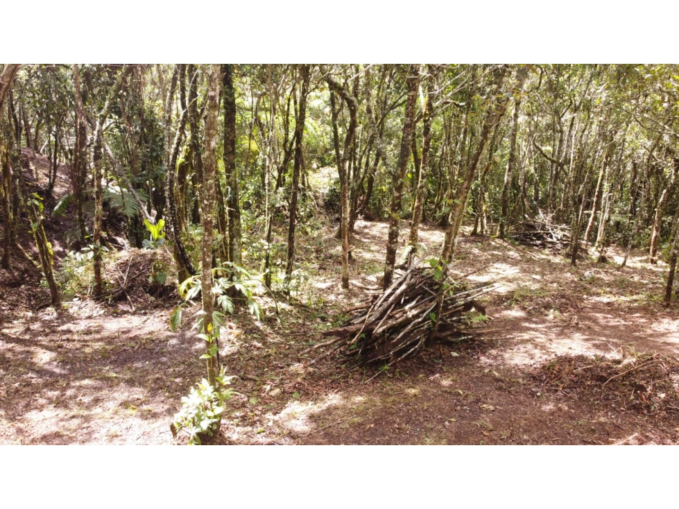Hermoso lote en Santa Elena con escritura 100% — foto 6