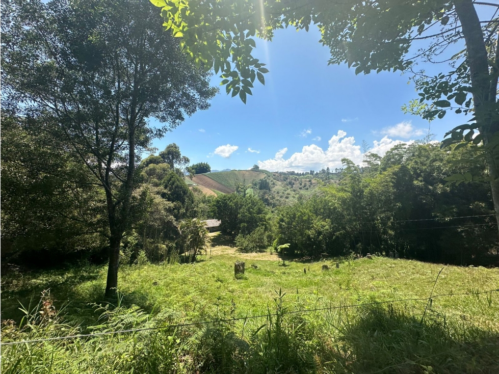 Casa Lote, en venta, sector Rionegro