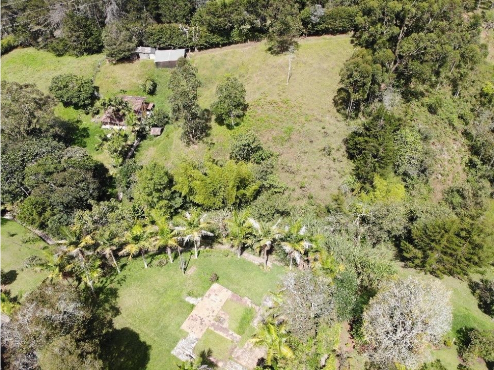 VENDO HERMOSA FINCA LA CEJA - Corredor San Antonio - La Ceja — foto 6