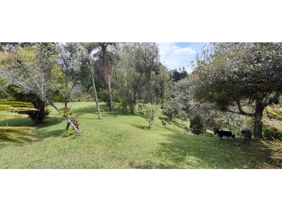 Finca para venta, Rionegro, V. Playa Rica — foto 2