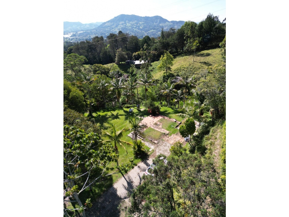 VENDO HERMOSA FINCA LA CEJA - Corredor San Antonio - La Ceja — foto 4