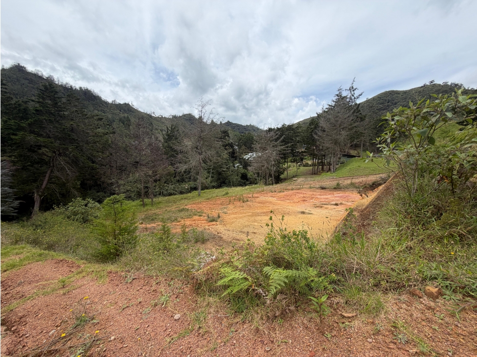 HERMOSO LOTE EN EL RETIRO - VÍA DON DIEGO / LA CEJA — foto 2