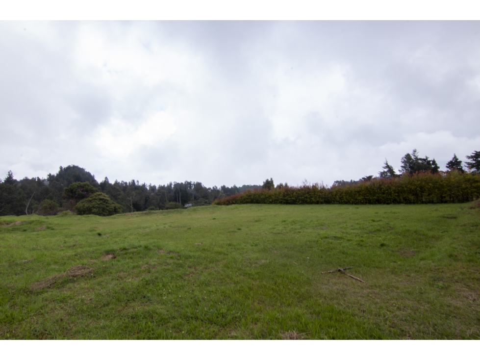 Lote en venta en sector de Alto de las Palmas - Envigado — foto 3