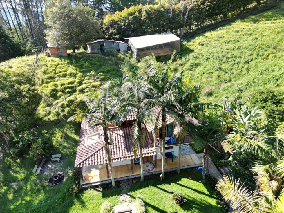 VENDO HERMOSA FINCA LA CEJA - Corredor San Antonio - La Ceja — foto 3
