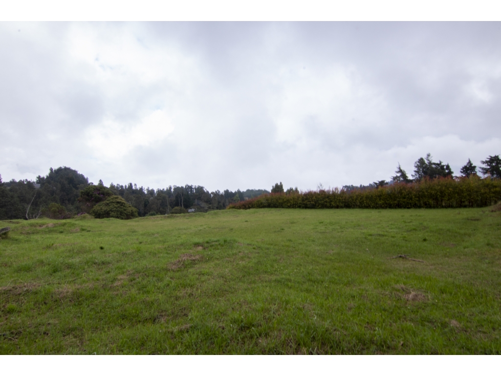Lote en venta en sector de Alto de las Palmas - Envigado — foto 5