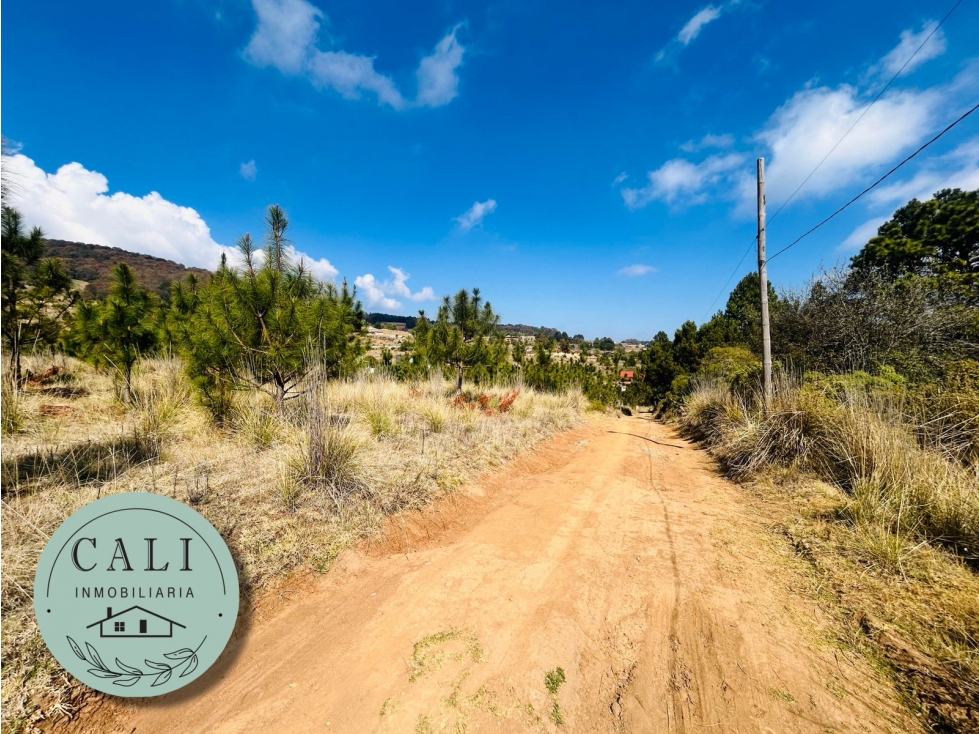 Terreno en VENTA en Valtierra, Omitlan Hidalgo