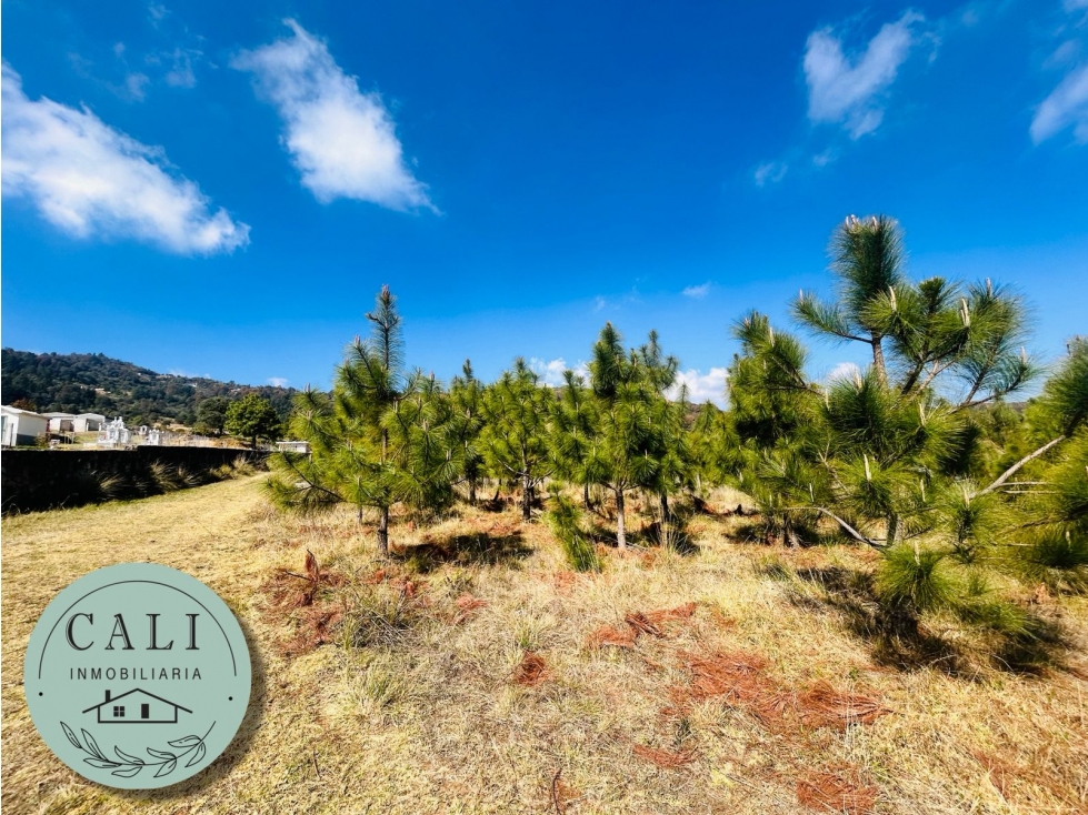 Terreno en VENTA en Valtierra, Omitlan Hidalgo — foto 2