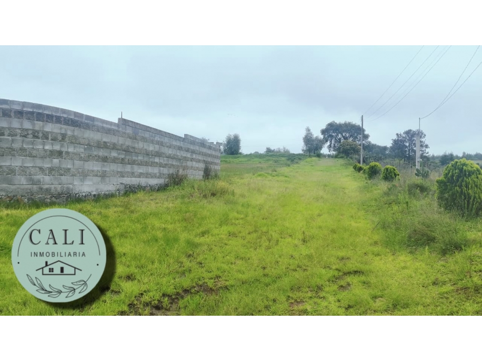 Terreno en VENTA en Santa Elena, Huasca de Ocampo Hidalgo - 2