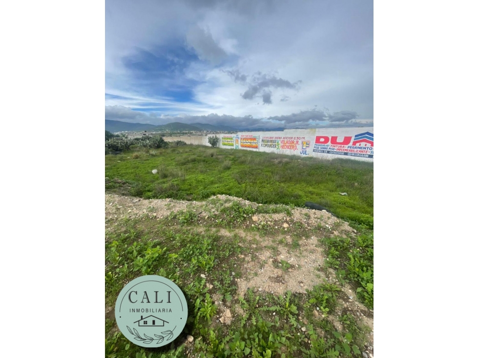 Terreno en VENTA Santa Catarina, Tlapacoya Hidalgo - 3