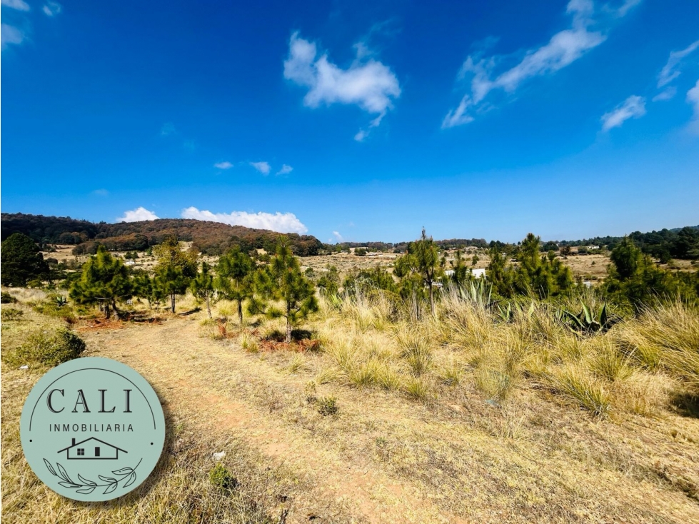 Terreno en VENTA en Valtierra, Omitlan Hidalgo — foto 3