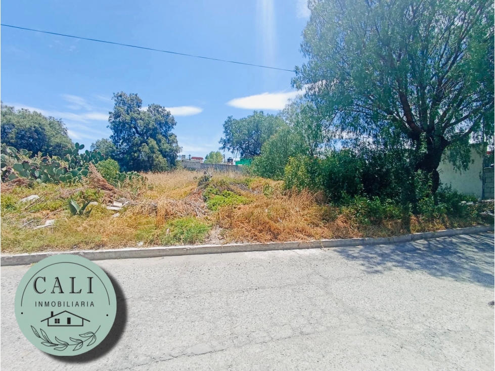 Se VENDEN terrenos en Carboneras, Mineral de la Reforma Hidalgo - 3