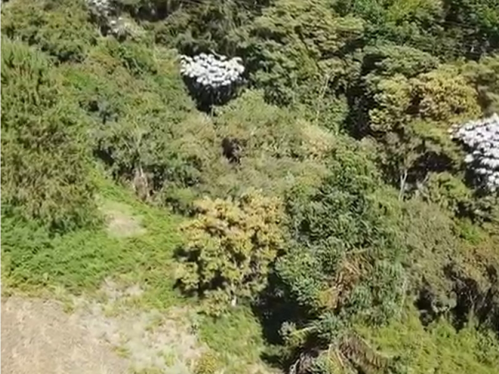 Hermoso lote vía Las Palmas / La Fé / El Retiro / vista a la represa — foto 3