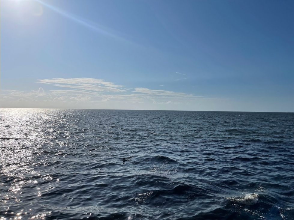 ¡¡¡Vendo el lote mirador mejor ubicado en el Golfo de Urabá!!! Necoclí - 6