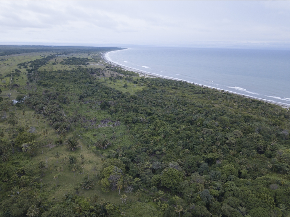 EL LOTE DE TERRENO CON PLAYA MAS LINDO DE URABÁ - 1