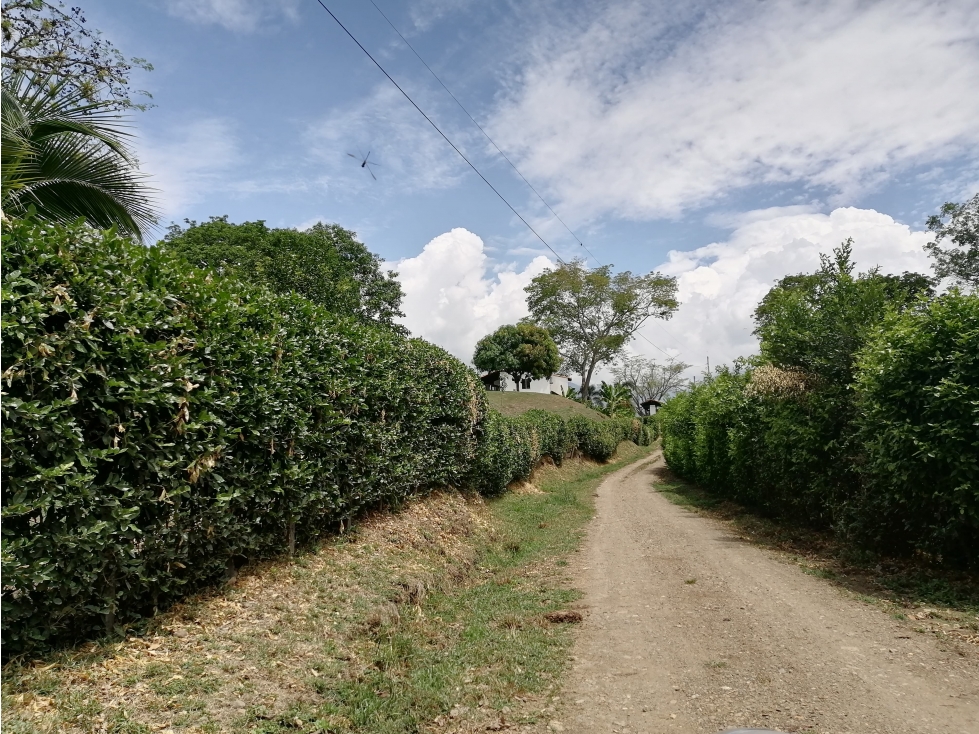 Hermoso lote plano en la Vía San Jerónimo / Sta Fé de Antioquia — foto 5