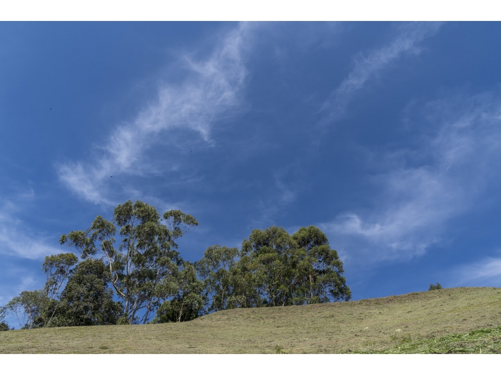 Hermoso lote en Rionegro Sajonia Cerca de Asados Doña Rosa — foto 3