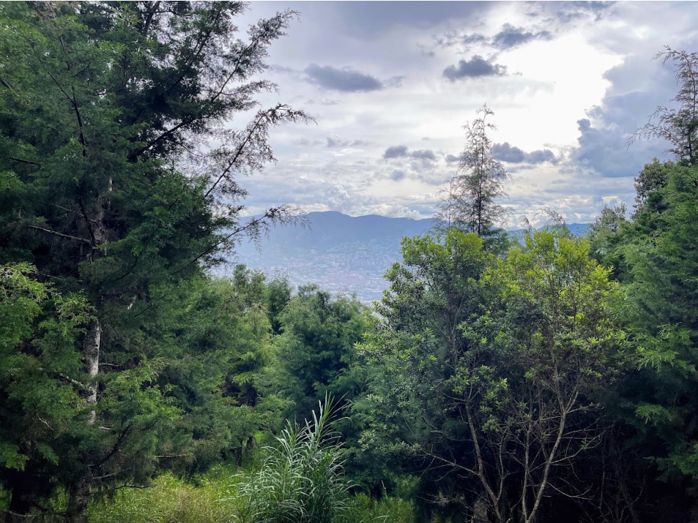 Lote Idependiente Vía Las Palmas / Medellín. Con quebrada cristalina. — foto 3