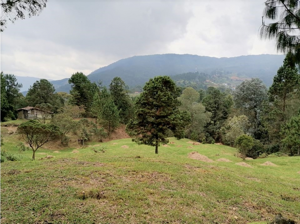 Vendo Hermoso Lote Rural La Miel / La Catedral — foto 3
