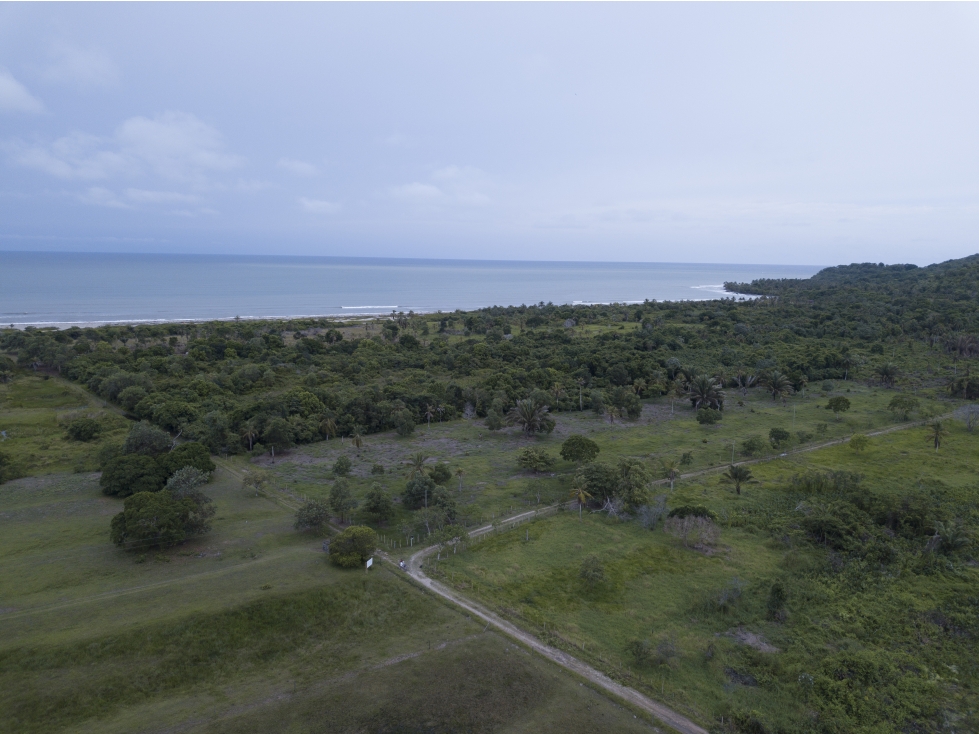EL LOTE DE TERRENO CON PLAYA MAS LINDO DE URABÁ - 2