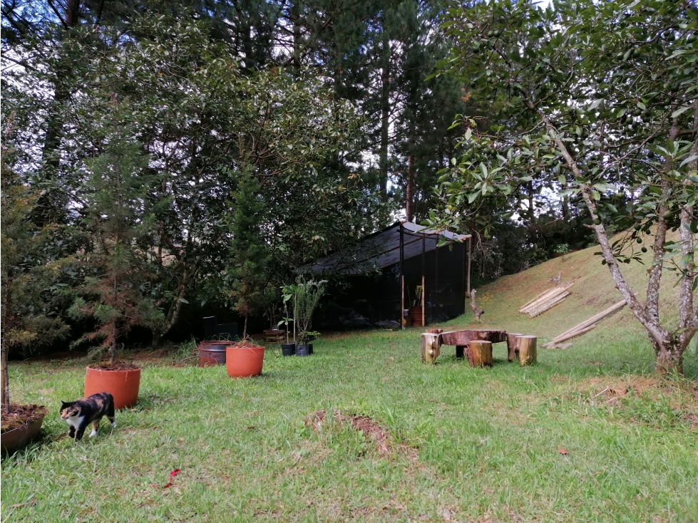 Finca en la vía Llanogrande / Retiro el foco de la venta es el Lote — foto 6