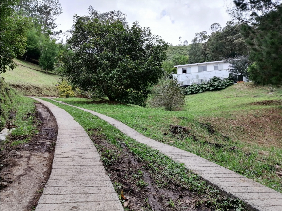 Finca en la vía Llanogrande / Retiro el foco de la venta es el Lote — foto 5